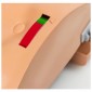 AmbuMan Manichino Torso per Addestramento BLS-D con Ventilazione e DAE - indicatore compressioni