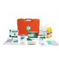 Kit pronto soccorso allegato 1 con contenuto